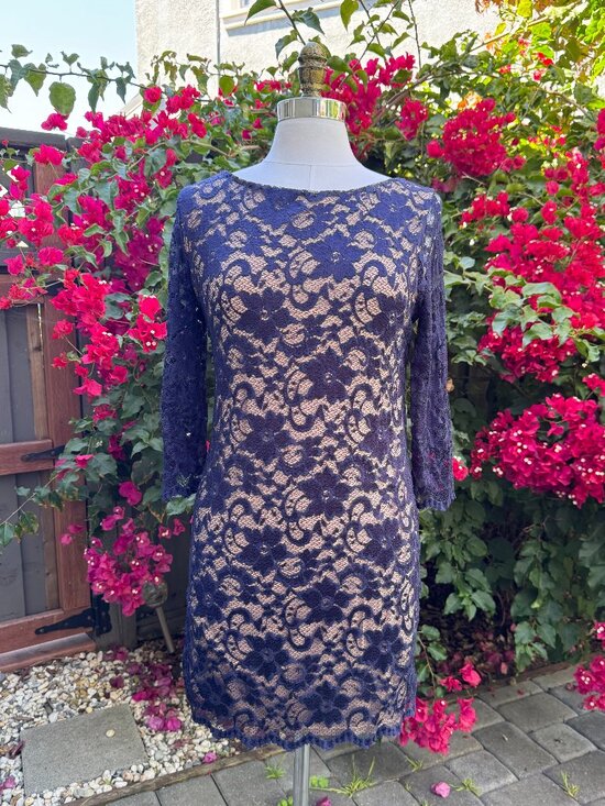 ASOS Petite Dresses & Skirts - ASOS Petite Elegant Lace Shift Dress | US 10 Petite | Excellent Condition